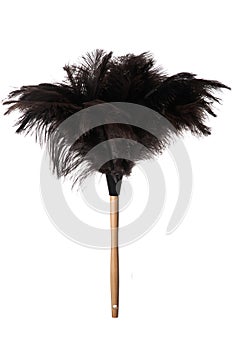 Ostrich Feather Duster