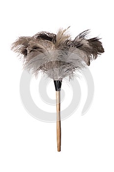 Ostrich Feather Duster photo