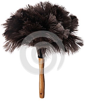 Ostrich Feather Duster