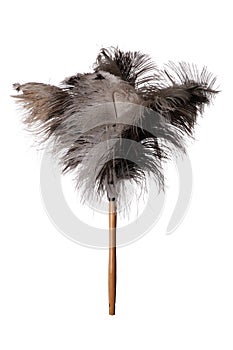 Ostrich Feather Duster - Isolated