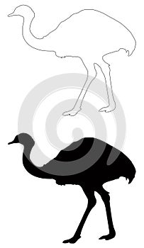 Ostrich or flightless bird silhouette