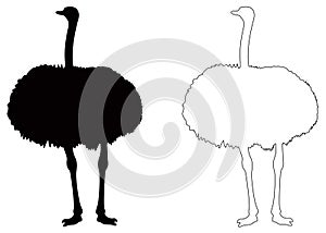 Ostrich or flightless bird silhouette