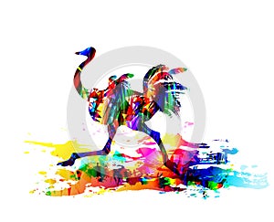 Ostrich running. Digital painting. Vector illustration