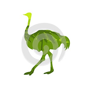Ostrich Silhouette with african savannah Vector Images, Flat Icons, Graphics, Logo Design. Vector Illustration. Ostrich