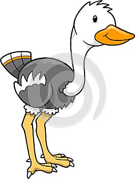 Ostrich Vector Illustration