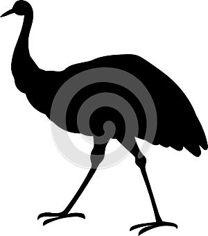 ostrich vector silhouette black
