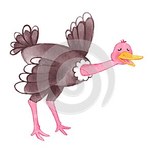 Ostrich . Watercolor paint design . Cute animal cartoon character . Running gesture . Vector photo
