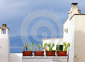 Architecture of the white town of Ostuni, Italy, Europe photo