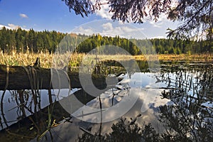 Osturnianske jazero lake near Osturna village