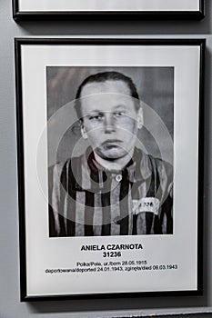 Exhibition in Concentration camp in Auschwitz