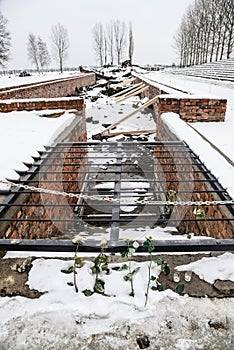 Oswiecim / Poland - 02.15.2018: Rose flowers laying on top of the gas chamber ruins