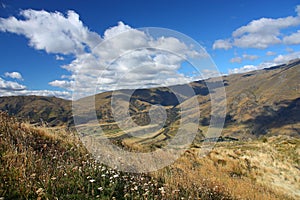 Otago landscape in South Island, New Zealand