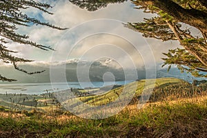 Otago Peninsula, South Island, New Zealand