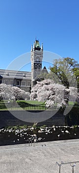 Otago University Clock Tower