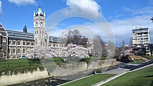 Otago University Clocktower, Dunedin