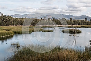 Otay Lakes County Park with Marsh Grass in Lake and Mountains