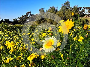 Otay valley regional park