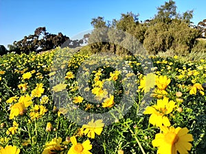 Otay valley regional park