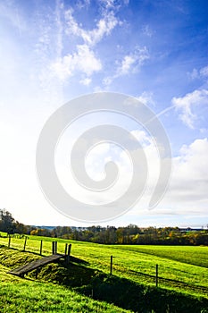 On the other side of the meadow the grass is green