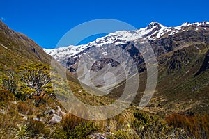 Otira River Valley