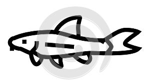 otocinclus fish line icon animation