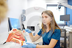 The otolaryngologist explains to the patient about his illness at the appointment. A professional ENT doctor demonstrates a model