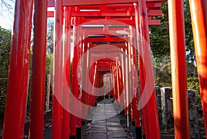 Otome Inari Shrine in Tokyo