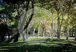 Otono / Autumn in San Isidro Park