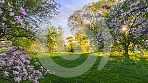Ottawa Dominion Arboretum in Spring photo