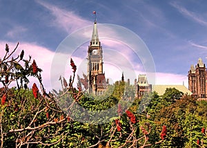 Ottawa Parliament central part May 2008