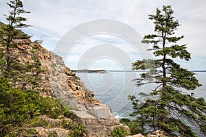 Otter Cliff in Acadia National Park USA