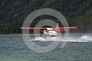 Otter Float plane taxiing at Muncho Lake, northern British Columbia