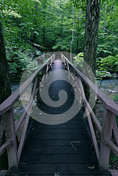 Otter River Crossing