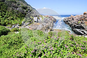 Otter Trail South Africa