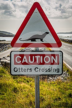 An Otters Crossing Sign