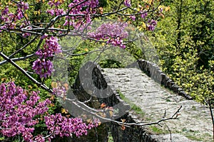 Ottoman bridge in the nature