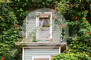 Ottoman house windows detail