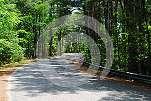 Ouachita National Forest Mountain Pine Road