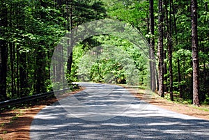 Ouachita National Forest Mountain Pine Road