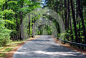 Ouachita National Forest Mountain Pine Road