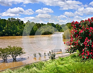 Ouachita River High Levels at Riverfront Park