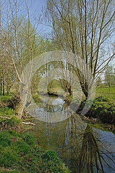 Oude Kale river along meadows in the Flemish countryside