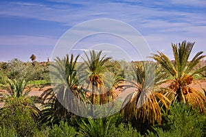 Oued Tifoultoute. Ouarzazate. Morocco.