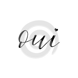 Oui lettering. Yes in french language. Hand drawn lettering background. Ink illustration.