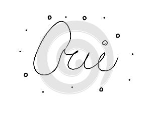 Oui phrase handwritten with a calligraphy brush. Yes in French. Modern brush calligraphy. Isolated word black