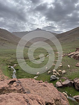 Oukaimeden, shepherds\' huts among mountains and green plains in autumn, Morocco