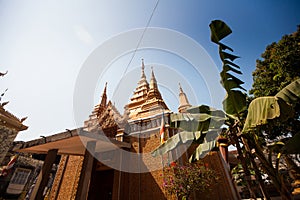 OunaLom Temple contains an eyebrow hair of Buddha. Cambodia