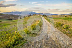 Ountry road leading to an agriturismo in Tuscany photo