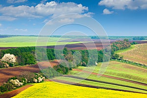 Ð¡ountryside Colorful Fields and Sky Background - nature landscape