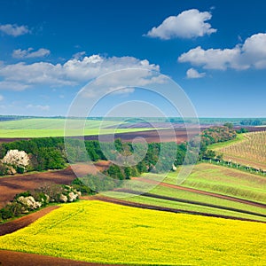 Ð¡ountryside Colorful Fields and Sky Background - nature landscape